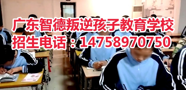 广东智德叛逆孩子教育学校